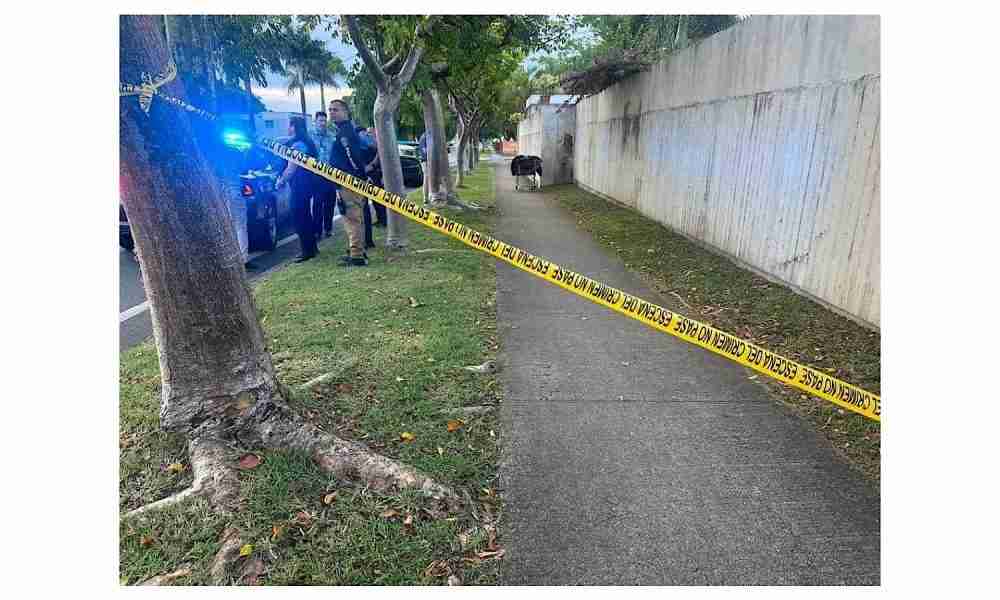 Encuentran el cuerpo de una mujer dentro de un carrito de compras en Bayamón.
